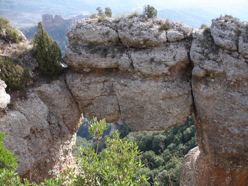 Imagen portada de la excursión