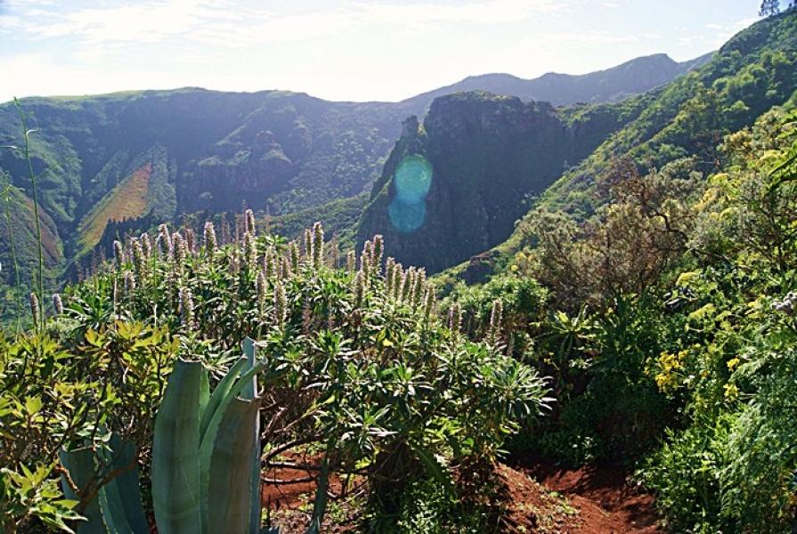 Imagen portada de la excursión